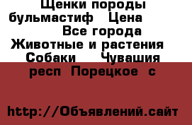 Щенки породы бульмастиф › Цена ­ 25 000 - Все города Животные и растения » Собаки   . Чувашия респ.,Порецкое. с.